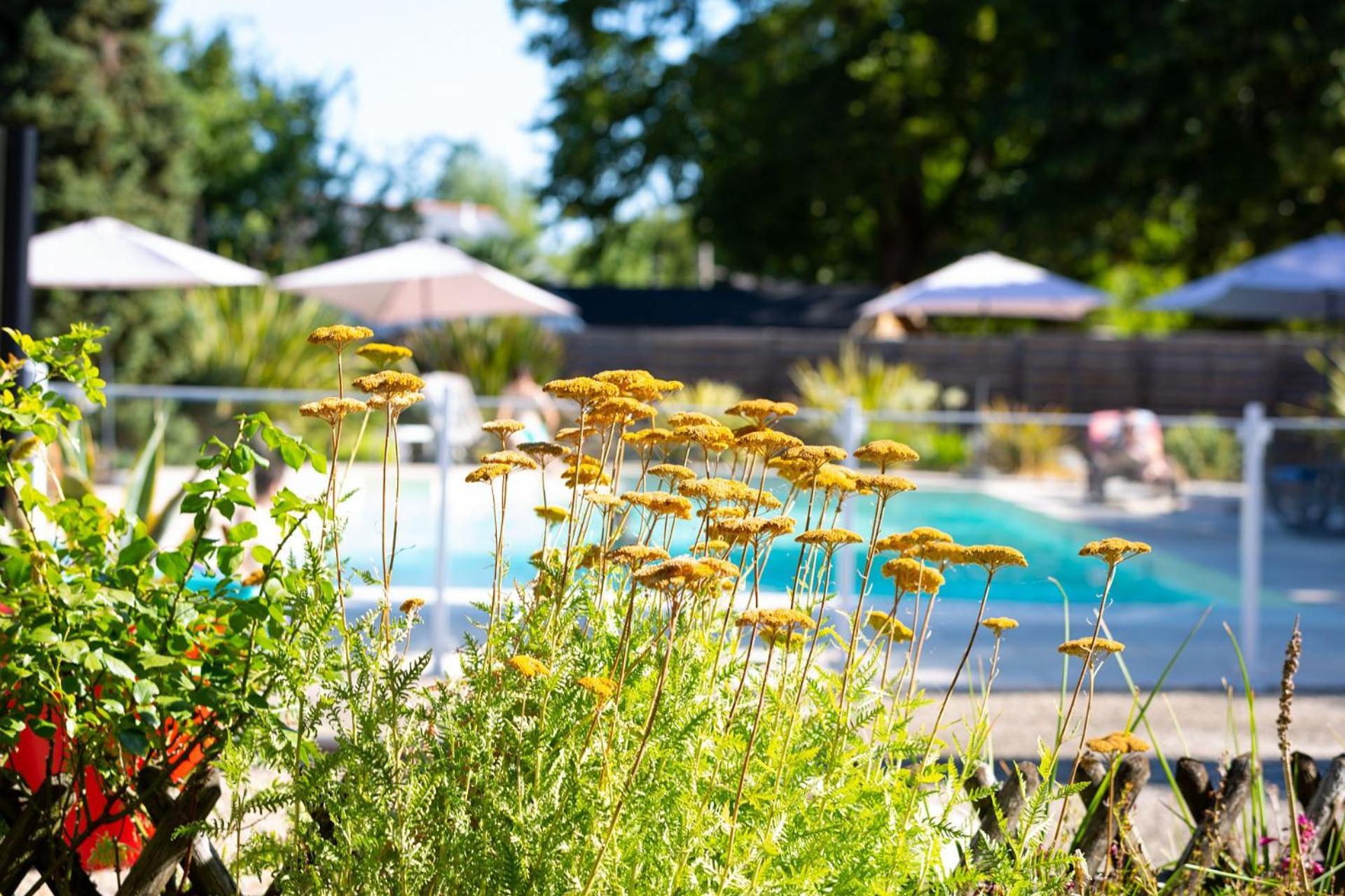 Hotel Mileade Le Domaine De La Blairie - Saumur Saint-Martin-de-la-Place Екстер'єр фото